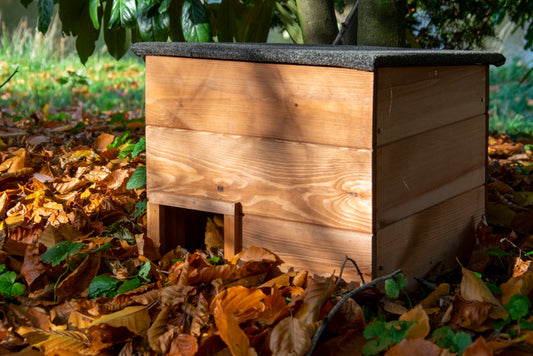 Warum ein Igelhaus im Garten wichtig ist: So hilfst du Igeln und schützt die Natur