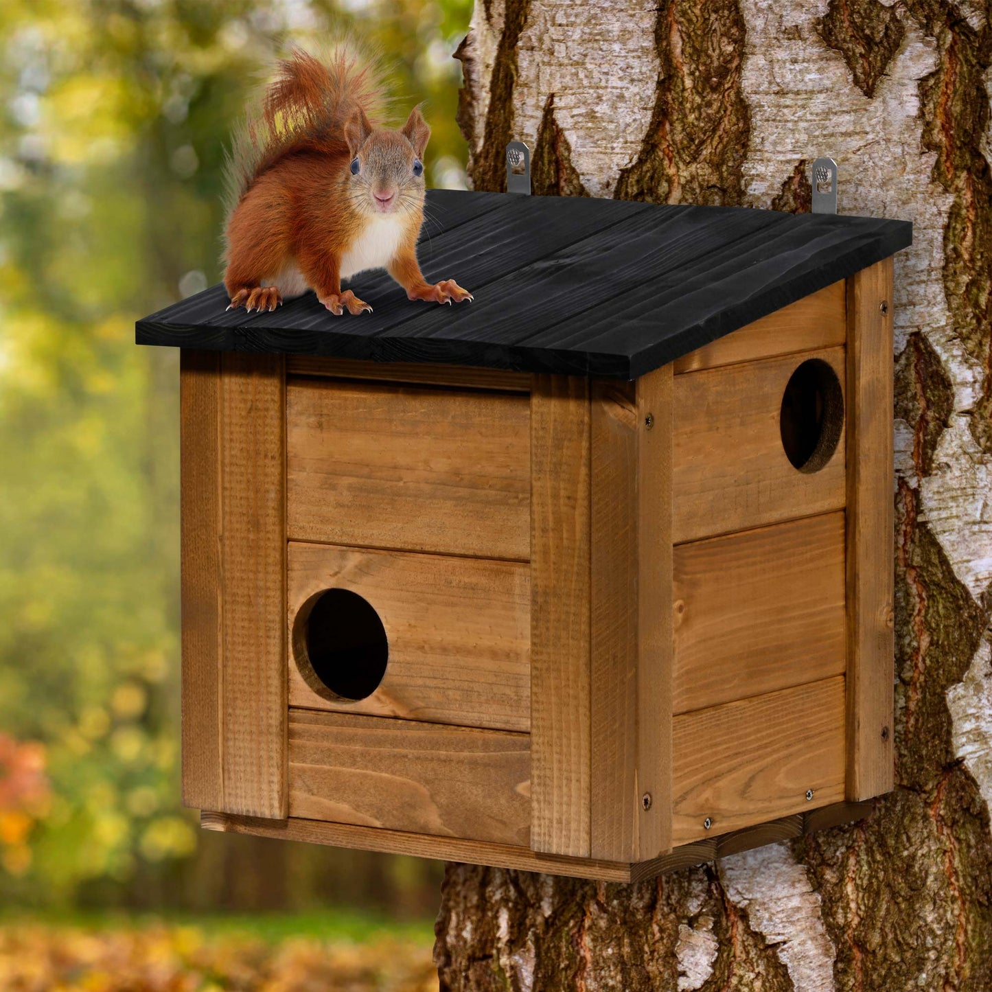 Edles Eichhörnchenhaus in Schwarz lasiert – ideal für naturnahe Gärten und Parks