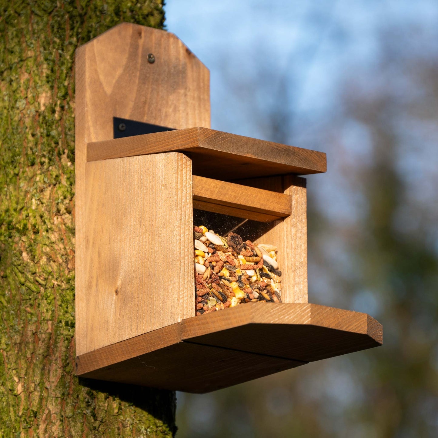 Nachhaltiges Eichhörnchen-Futterhaus mit Acrylglas und klappbarem Design