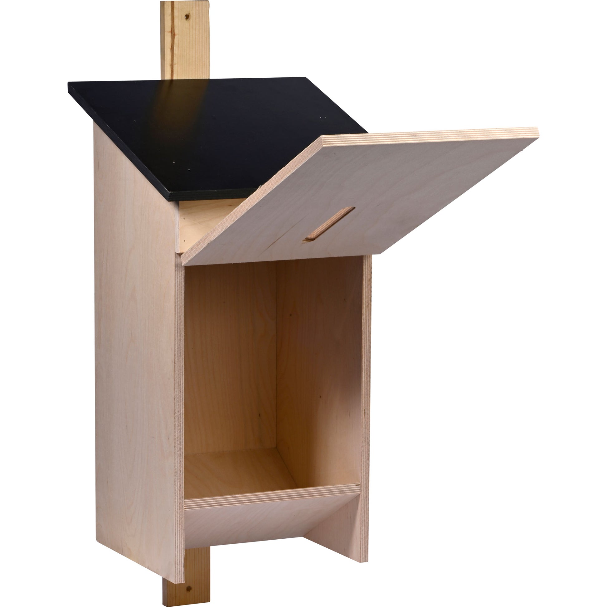 Robuster Hornissenkasten für artgerechte Umsiedlung und Schutz von Hornissenvölkern