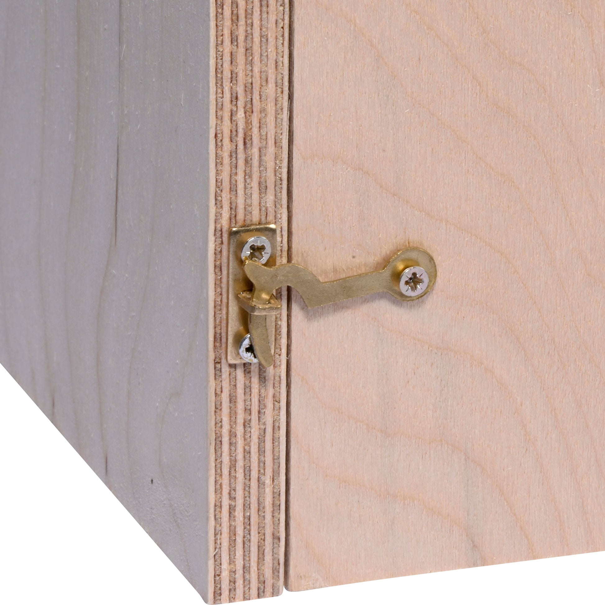 Professionelle Hornissenunterkunft mit großer Brutkammer und praktischer Flugloch-Ausrichtung