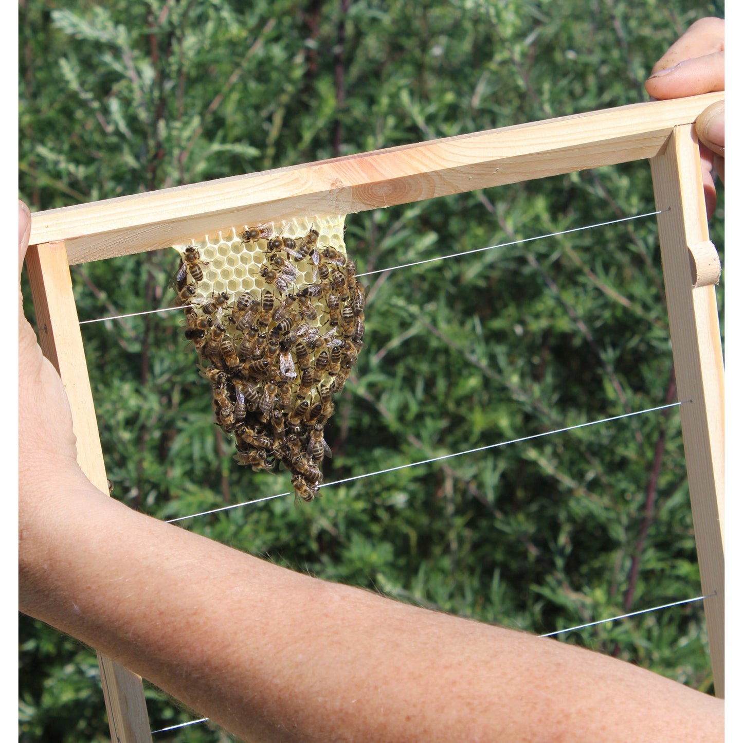 Stabile Holzbeute für Honigbienen mit bequemer Handhabung und langlebiger Konstruktion
