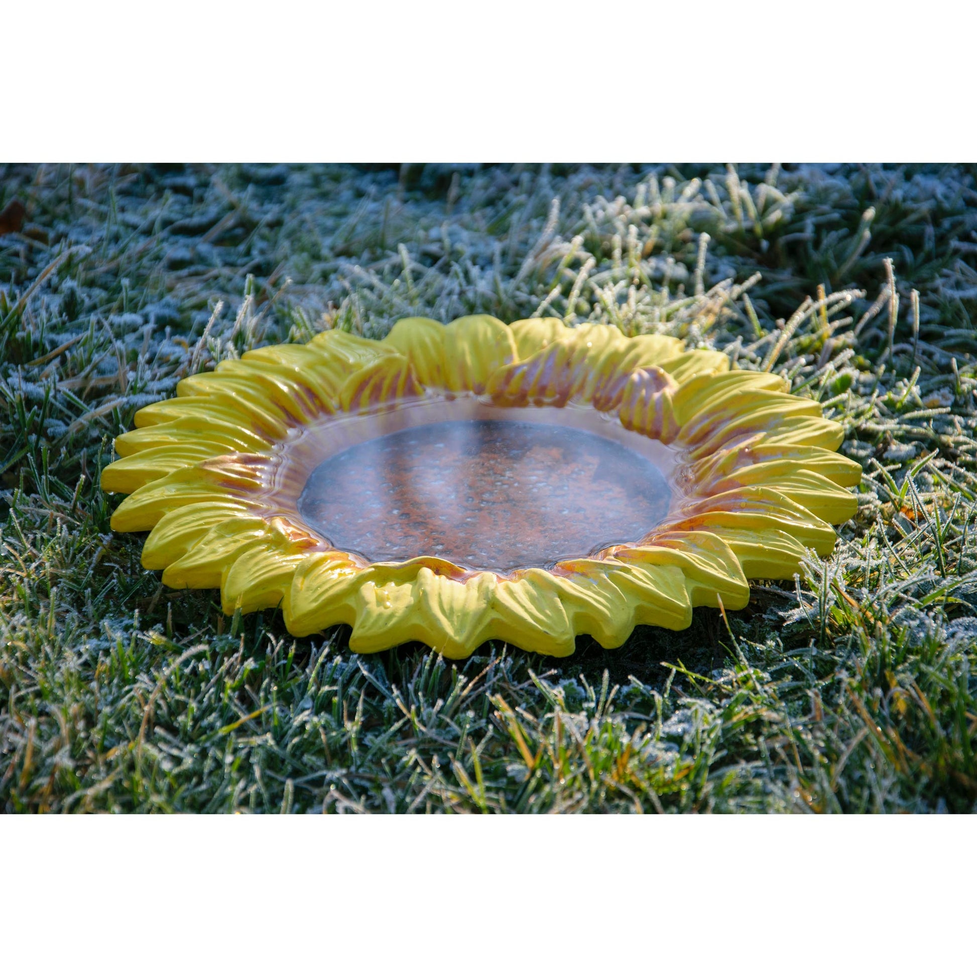 Garten-Wassertränke für Insekten aus nachhaltigem Zement – stilvolle und funktionale Trinkquelle für Nützlinge, einfach aufzustellen und zu befüllen.