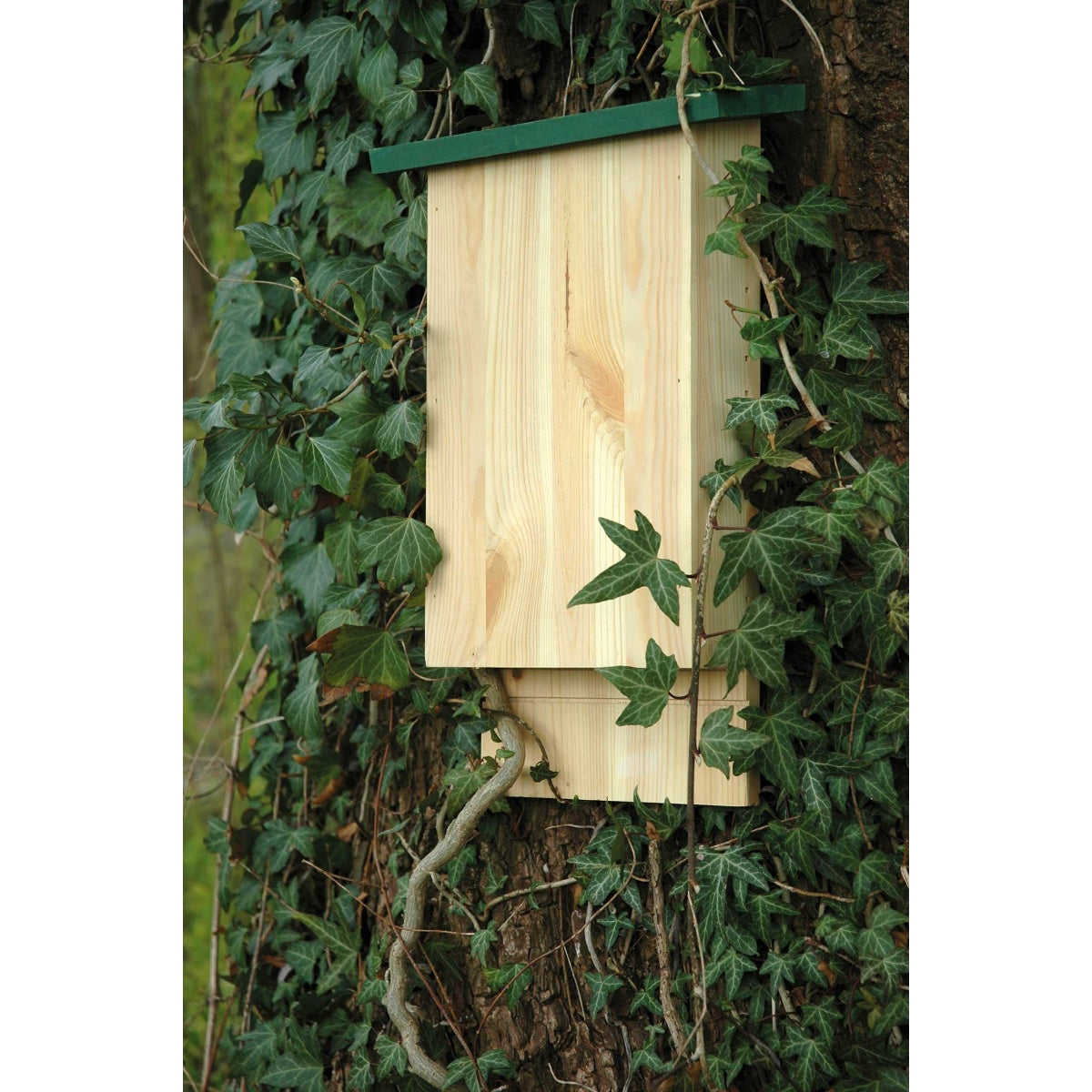 Natürliche Fledermaus-Unterkunft aus europäischem Holz für Artenschutz im Garten