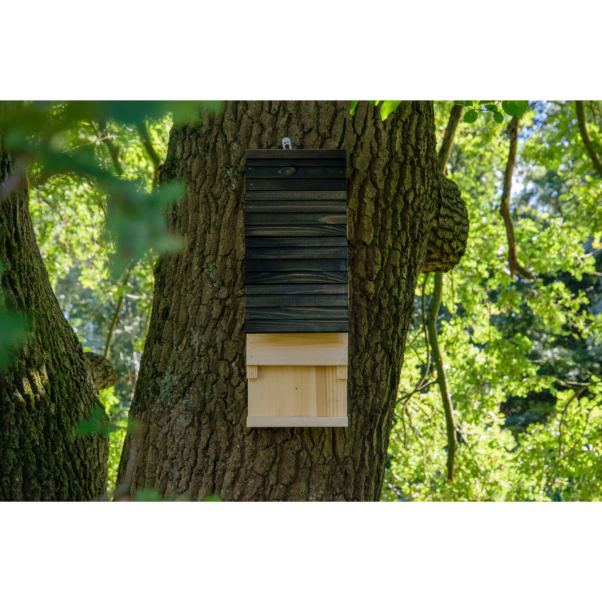 Robuster Fledermauskasten mit mehreren Spalten für sichere Rückzugsmöglichkeiten