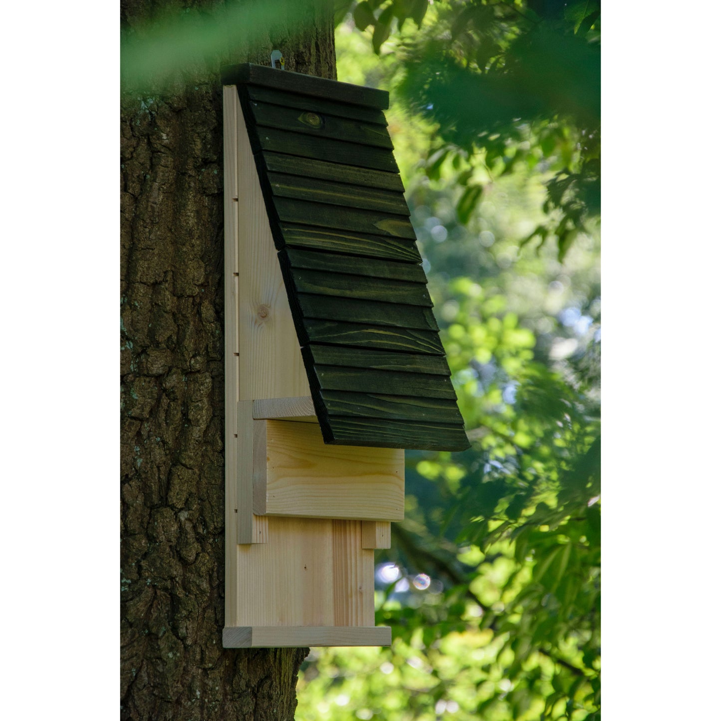 Langlebiges Fledermaushaus aus Holz für eine naturnahe Schädlingsbekämpfung