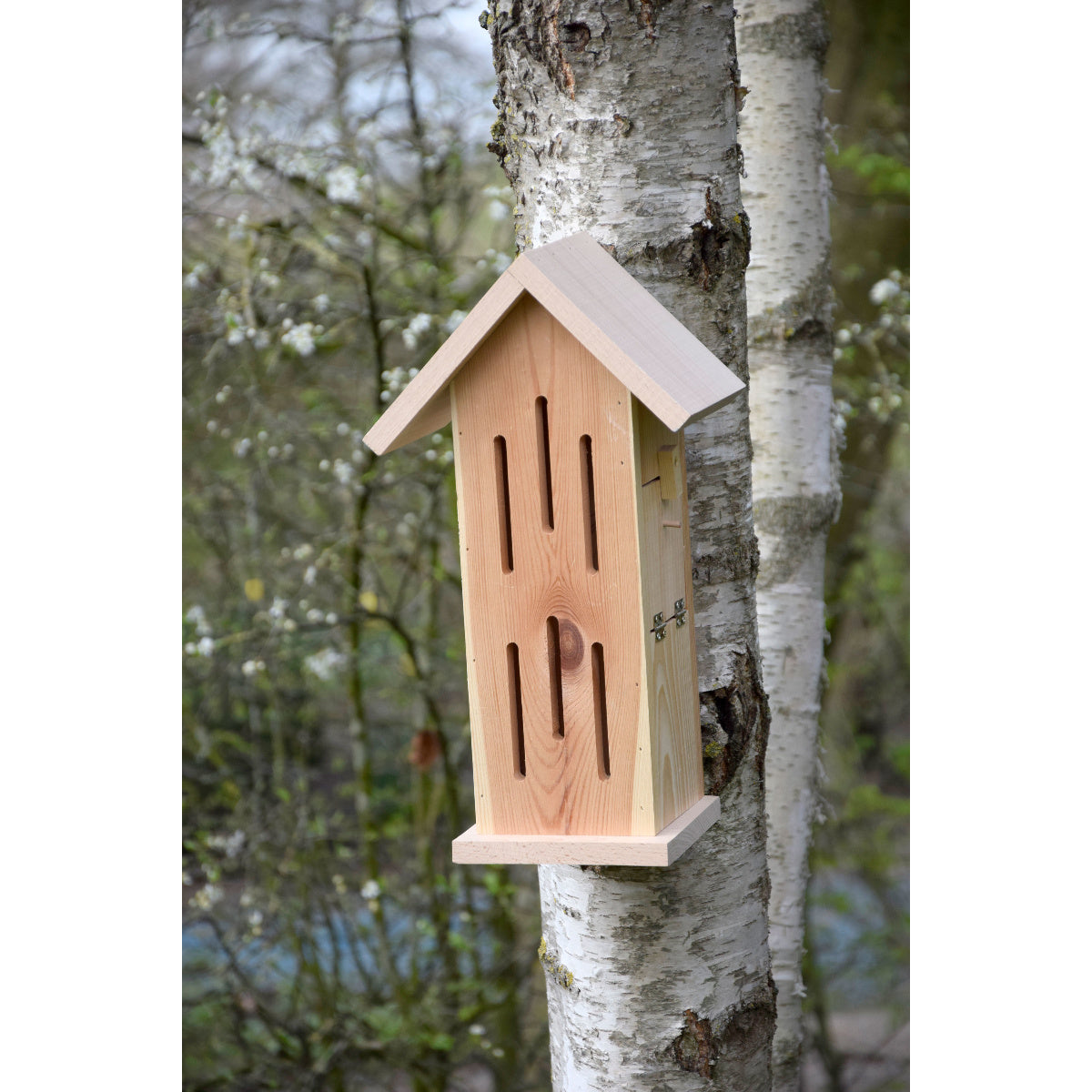 Art. 22191e - Schmetterlingshaus "Sonnenfalter Natur"