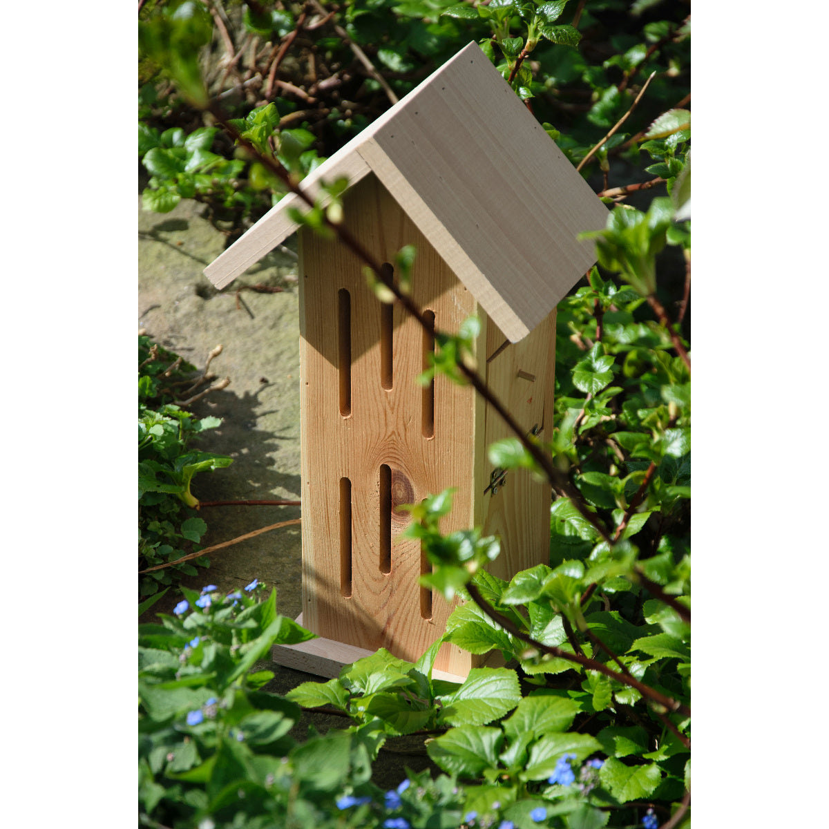 Art. 22191e - Schmetterlingshaus "Sonnenfalter Natur"