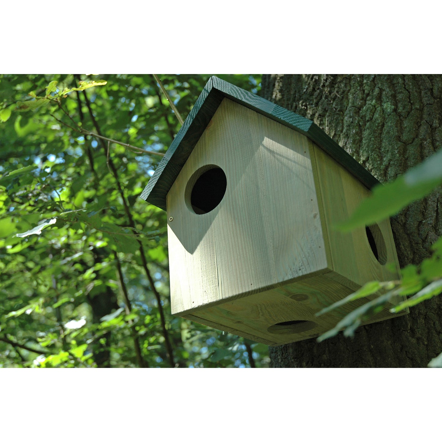 Langlebiges Eichhörnchenhaus aus massivem Kiefernholz für sicheren Unterschlupf