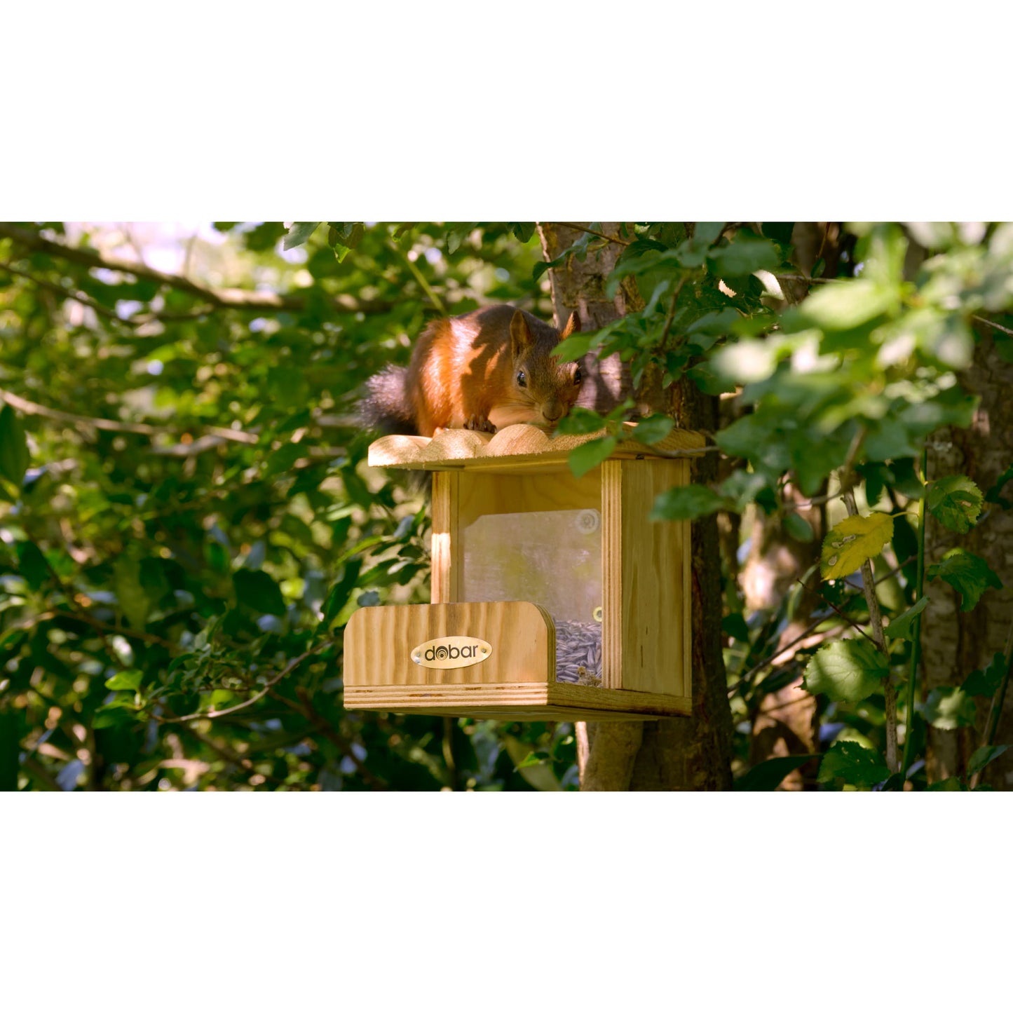 Art. 22239FSCe - Eichhörnchen-Futterstation mit Futtersilo | geflammt