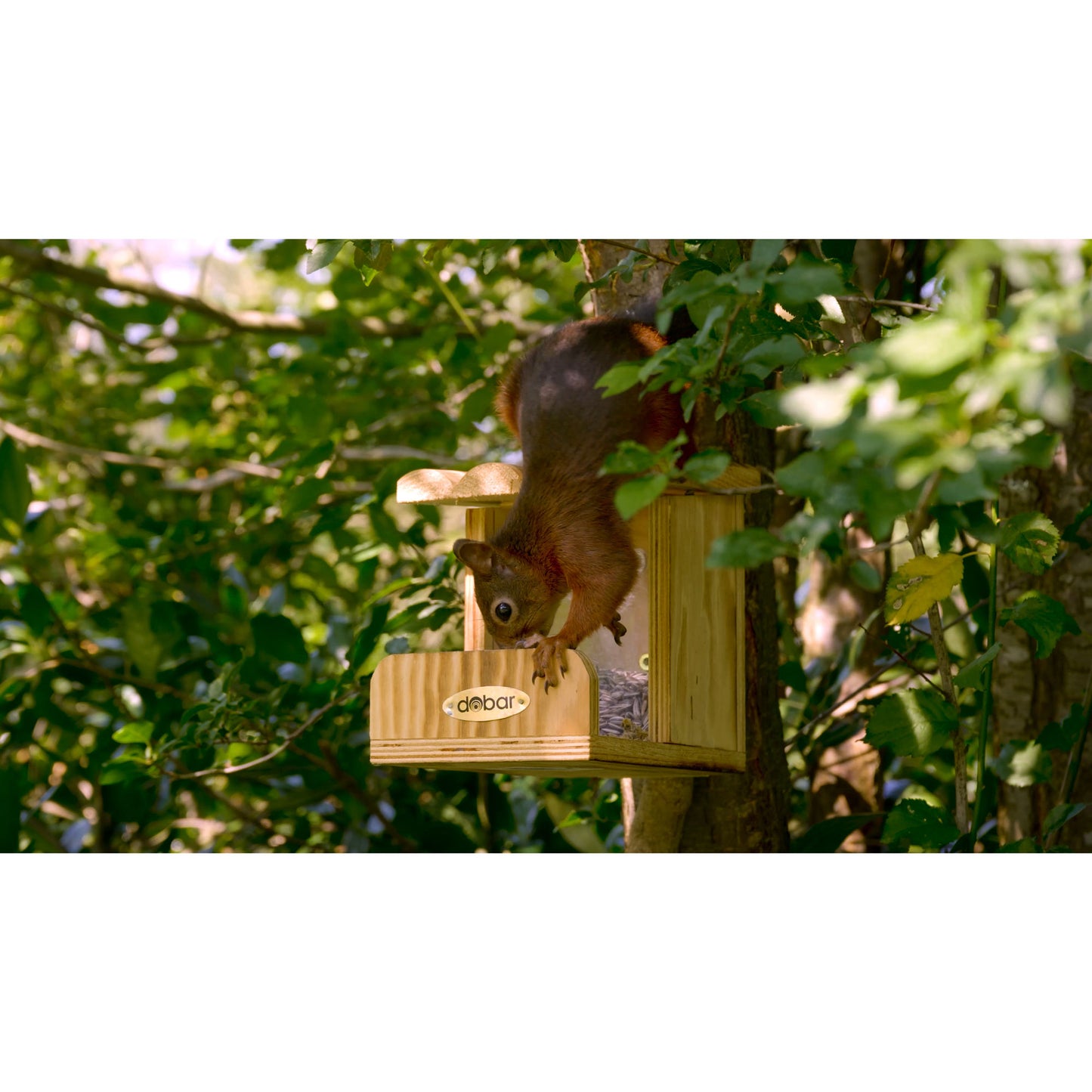 Art. 22239FSCe - Eichhörnchen-Futterstation mit Futtersilo | geflammt