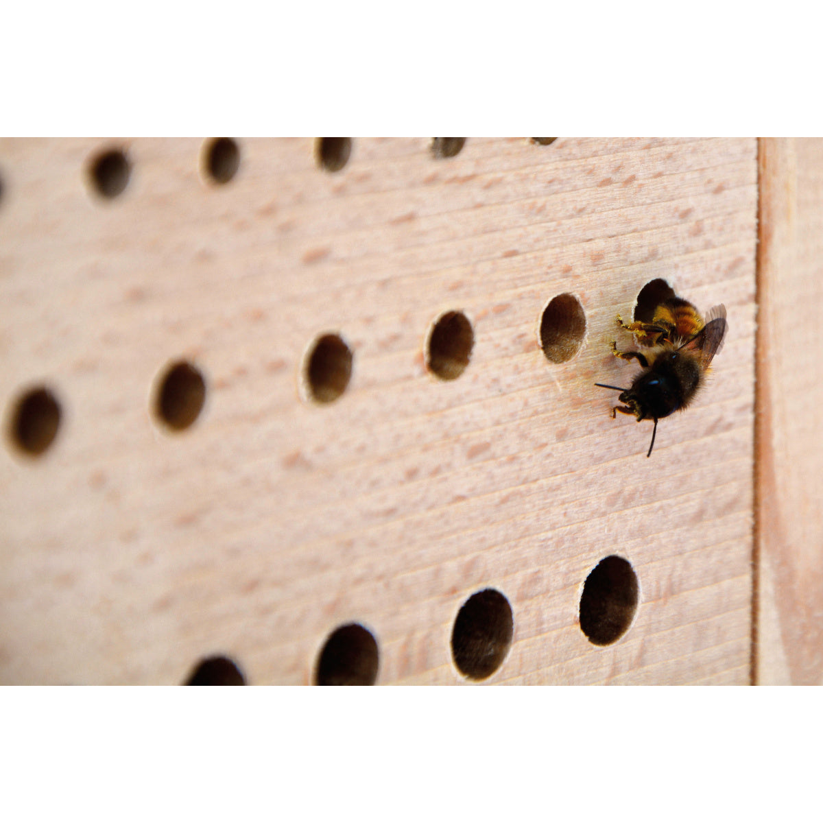 Insektenhotel mit Beobachtungsschublade – handgefertigtes Bienenhotel für Naturfreunde und die Förderung der Artenvielfalt.