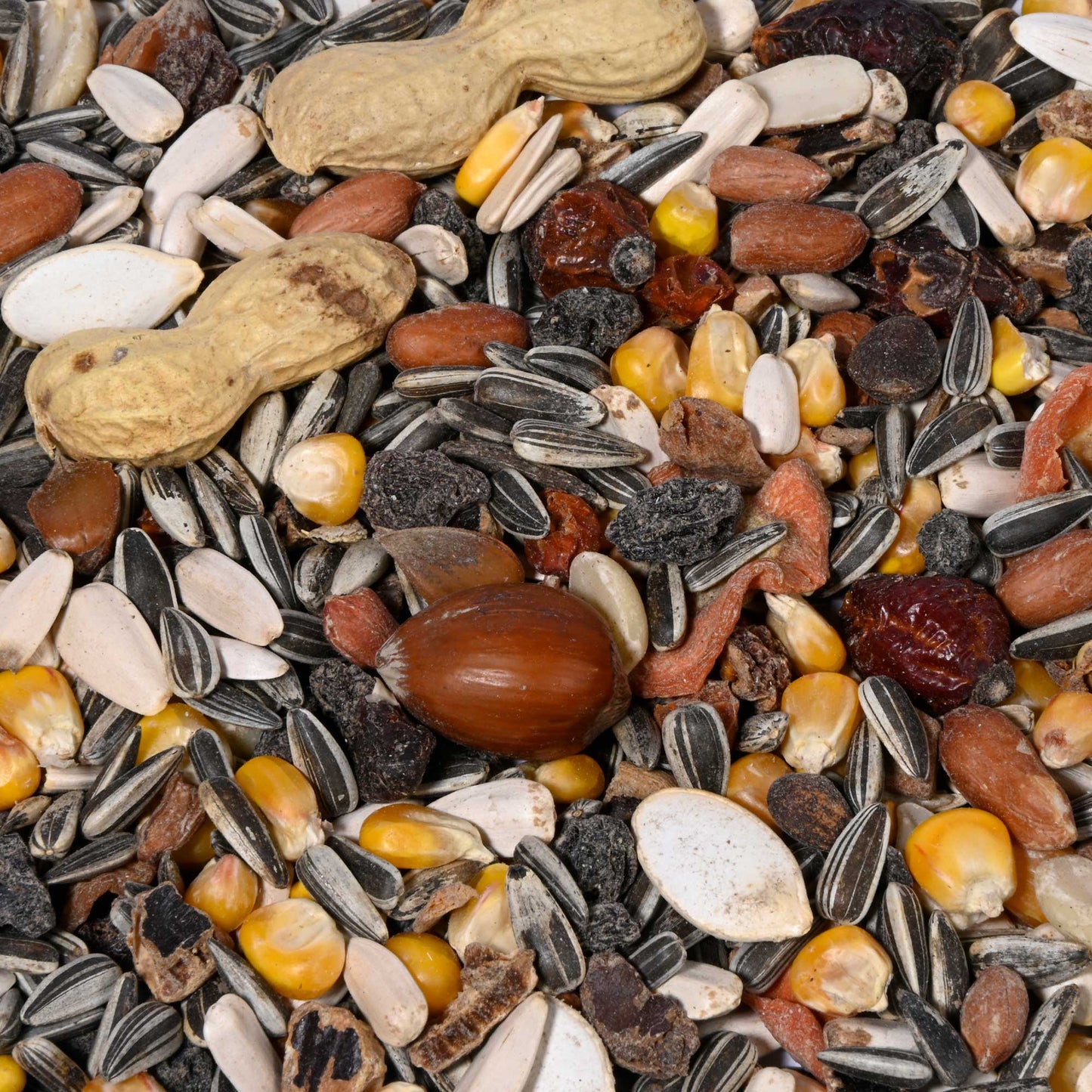 6 kg Eichhörnchenfutter mit hohem Rohprotein- und Rohfettgehalt für mehr Energie