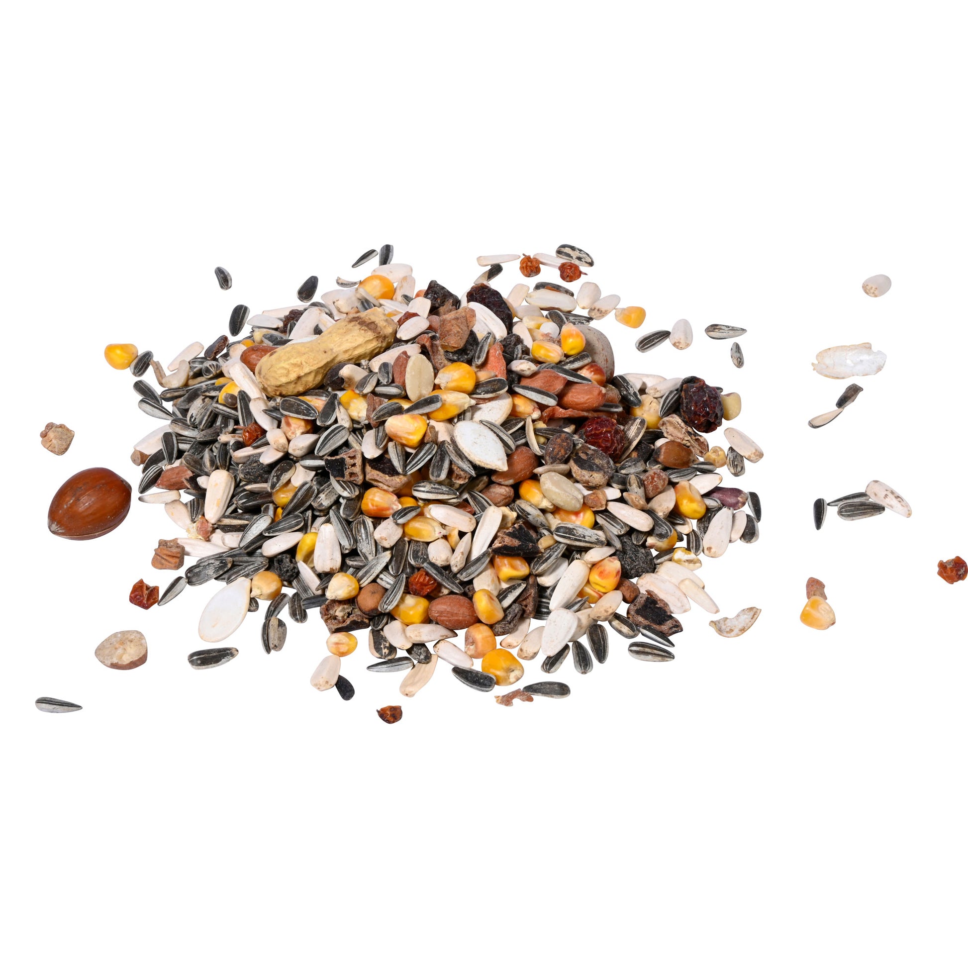 Nährstoffreiche Futtermischung für Eichhörnchen – ideal für die ganzjährige Fütterung