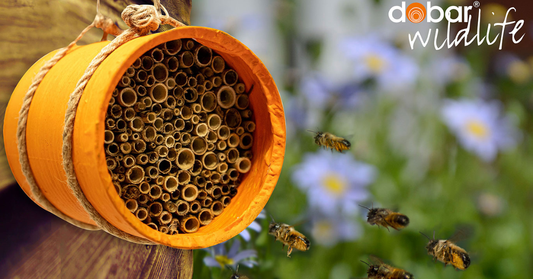 Insektenhotel selber bauen – die besten Materialien für dein DIY-Projekt