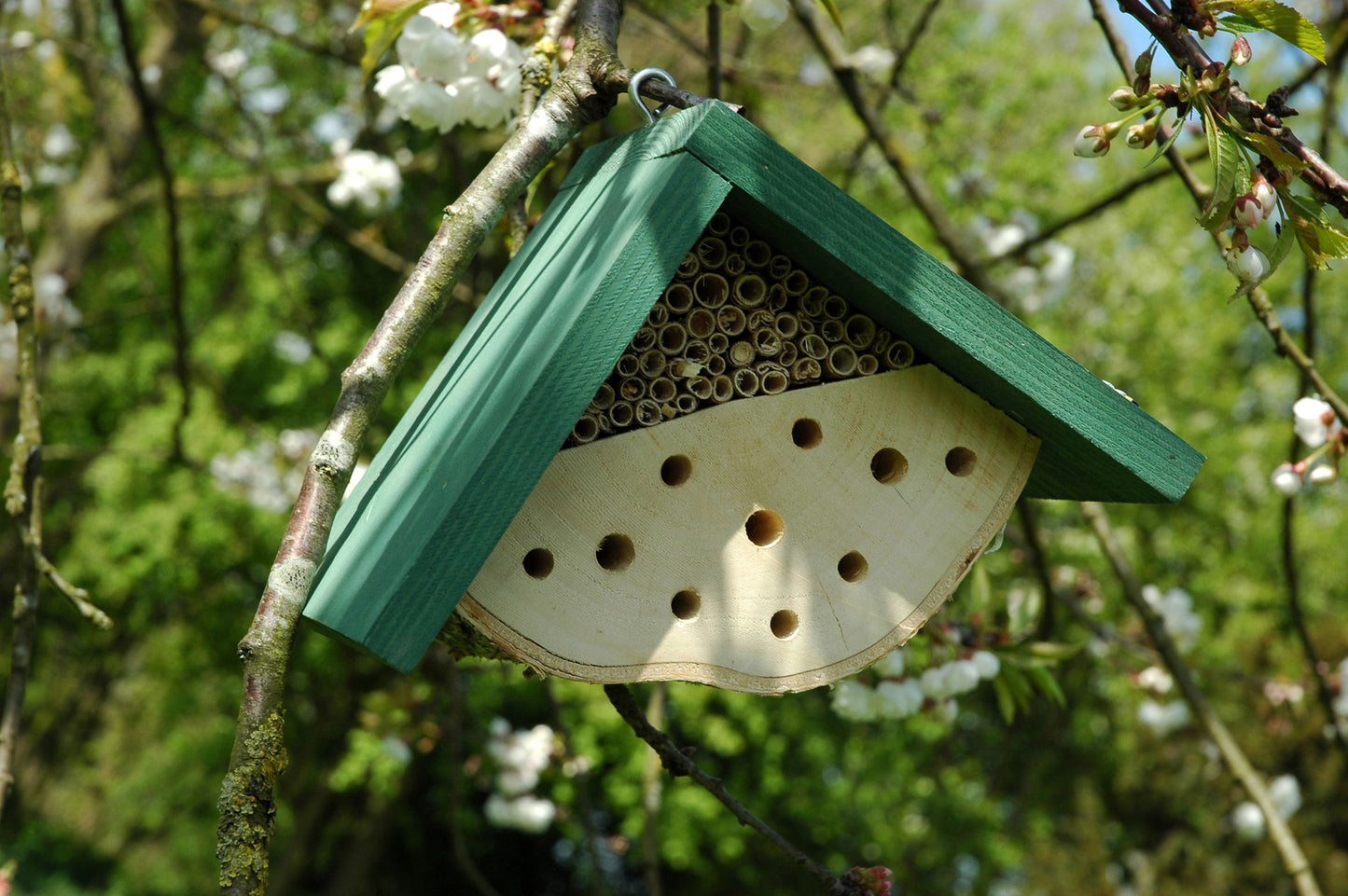 Nisthilfe für Wildbienen zum Aufhängen (22614e)