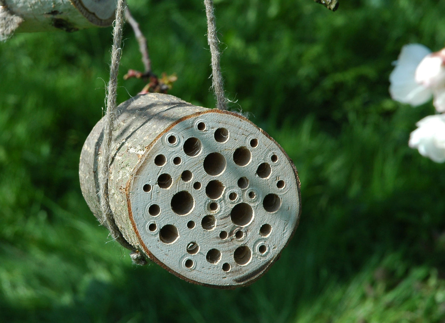 Nisthilfe für Insekten "Wildbienen-Zylinder" (22616e)