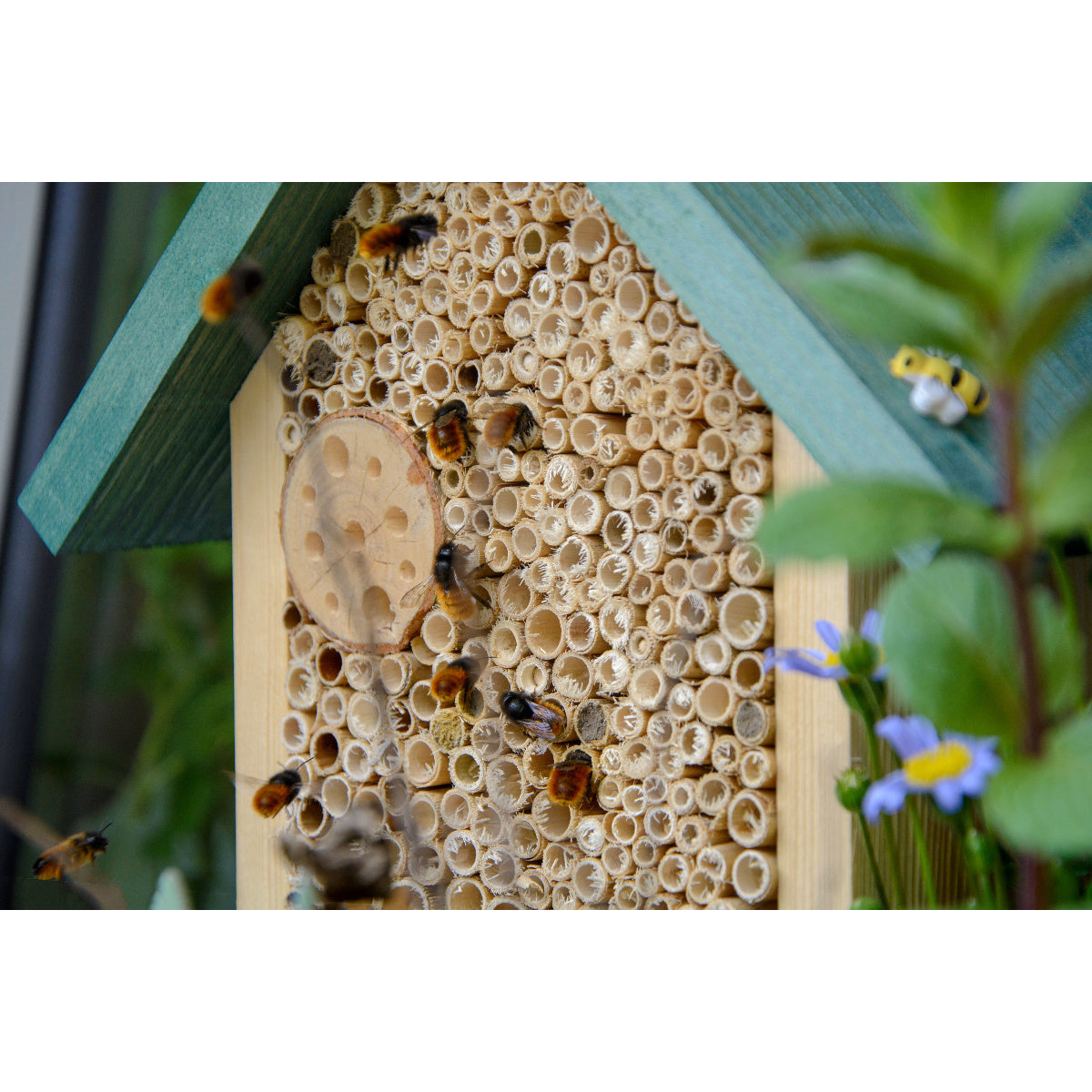 Art. 22622e - Bienenhaus "Schilfinger" aus Holz | Grün