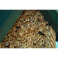Art. 22622e - Bienenhaus "Schilfinger" aus Holz | Grün