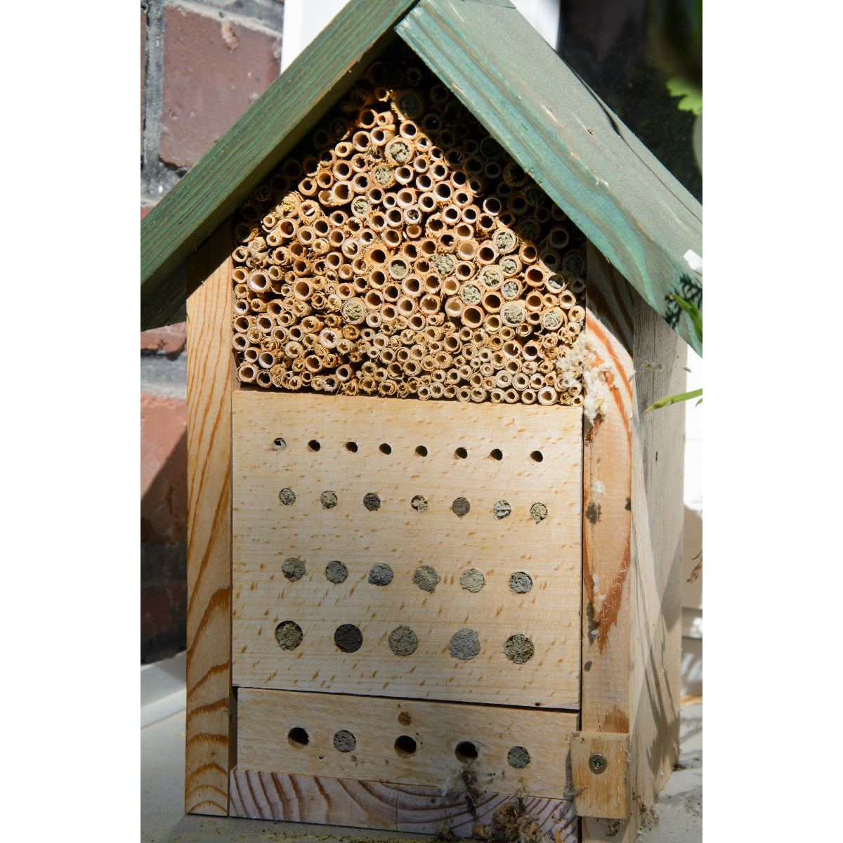Art. 22623e - Bienenhaus "Maja" mit Beobachtungsschublade
