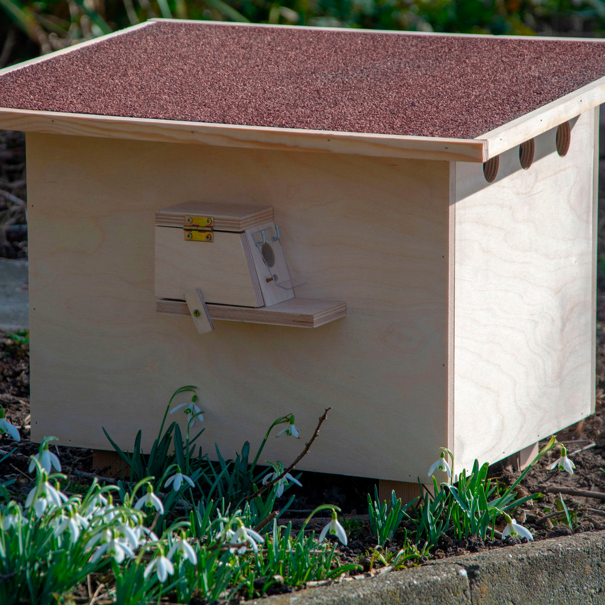 Hummelkasten für naturnahe Gärten – robustes Insektenhotel aus Holz mit speziellem Eingangsbereich, um Hummeln eine sichere Brutstätte zu bieten