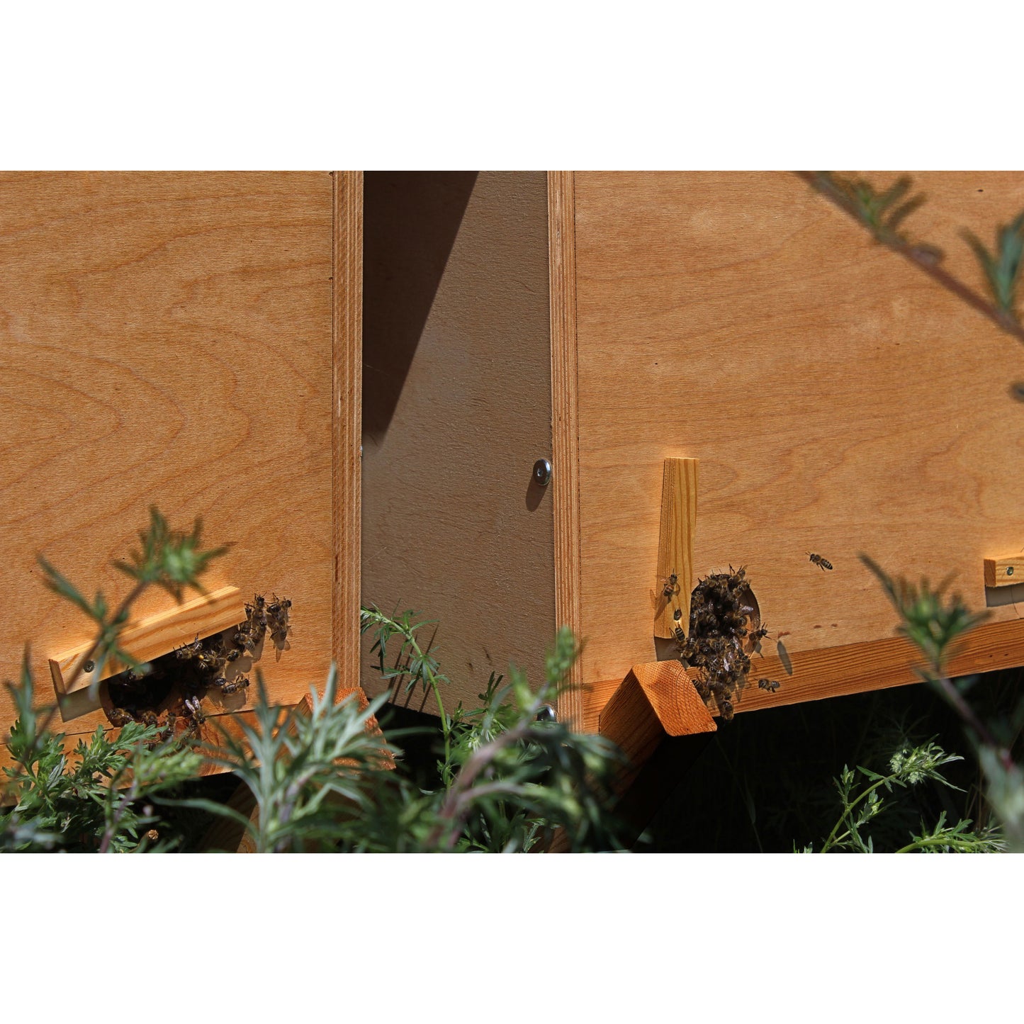 Art. 28322e - Einraumbeute inklusive Ständer aus Holz
