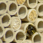 Art. 28410e - Großes Profi-Wildbienenhotel mit Schutzrahmen
