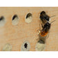 Art. 28410e - Großes Profi-Wildbienenhotel mit Schutzrahmen