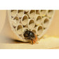 Art. 28450e - Profi-Wildbienenhotel mit Papierröhrchen & Buchenholz